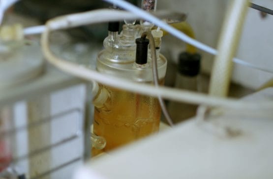 testing generator fuel