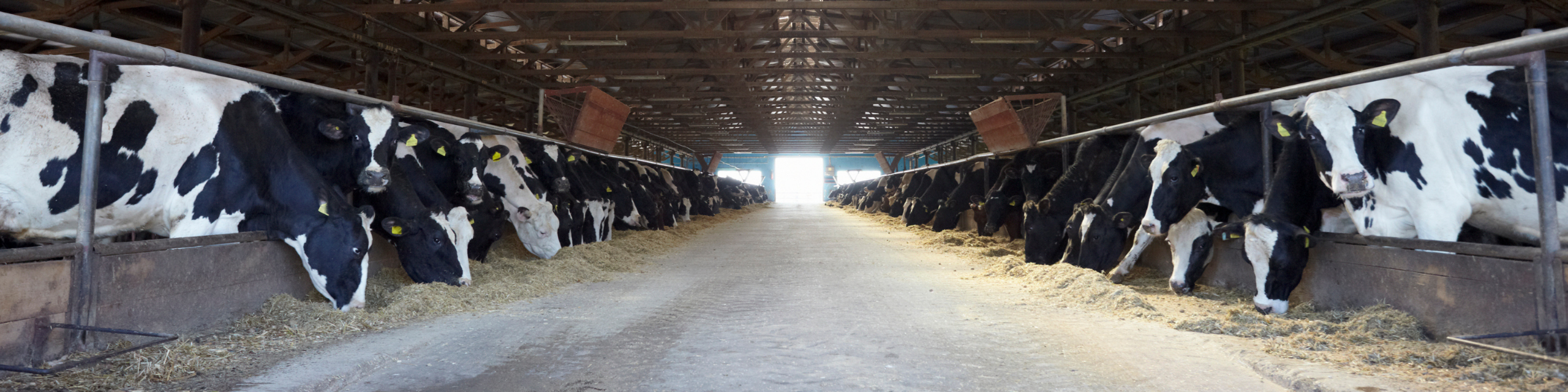 Wisconsin | Agriculture | June Dairy Month | U.S. Lubricants