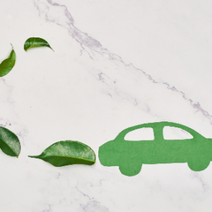 Sustainable Car Tips to Reduce your Carbon Footprint
